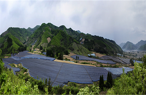 集安大地参业获评通化市重大科研团队重点支持对象